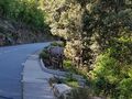 Corse 040